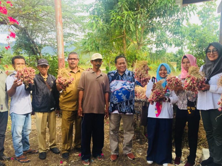 Petani Tidore dan Ternate Raup Untung Hingga Rp100 Juta Sekali Panen