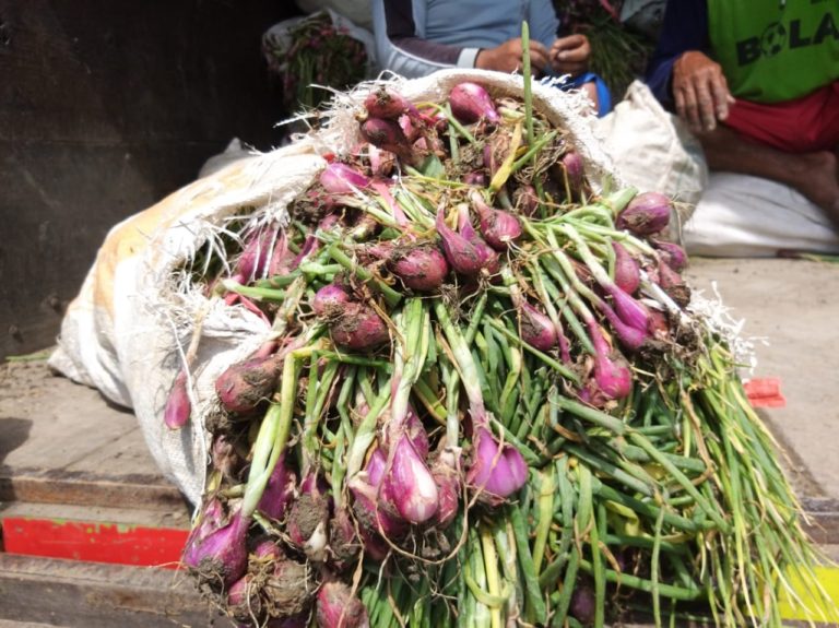 Jelang Puasa, Kementan Pastikan Pasokan Bawang Merah Aman