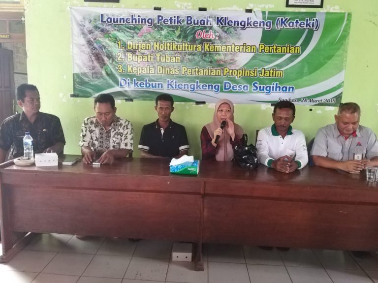 Kementan dan Petani Puas dengan Panen Perdana Lengkeng Hasil Kemitraan