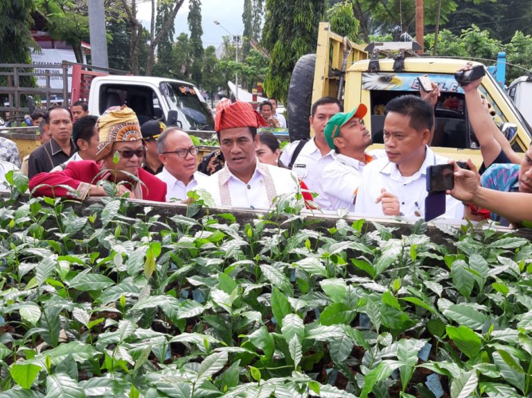 Pemerintah Berharap Kopi Toraja Makin Mendunia