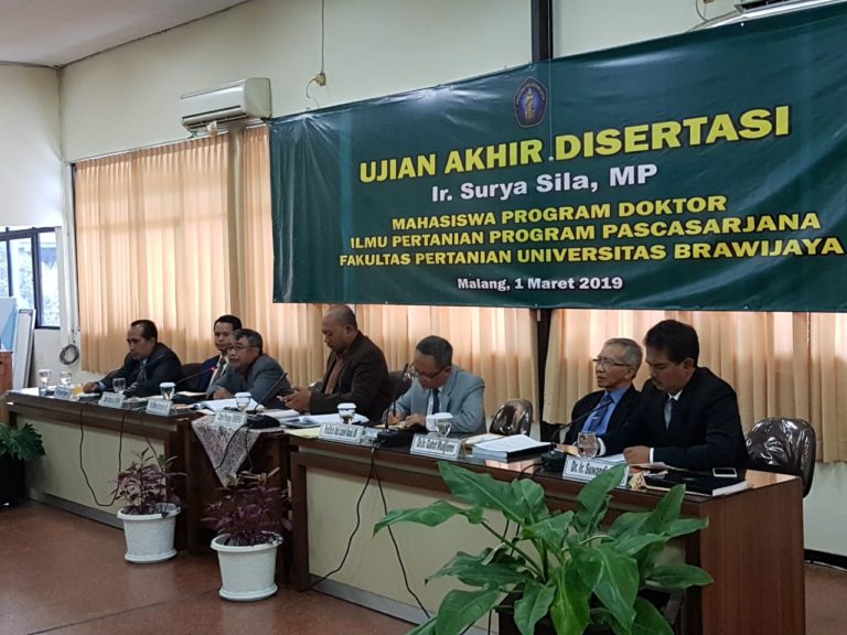 Budidaya Pisang Indonesia Menggiurkan, Nilai Ekspor 2018 Naik 70,4 Persen