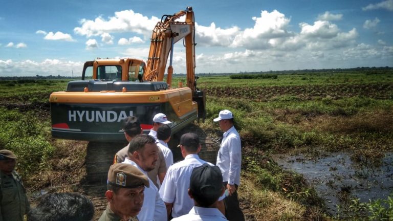 Mentan Optimalisasi 45 Ribu Lahan Rawa Lebak di Wajo