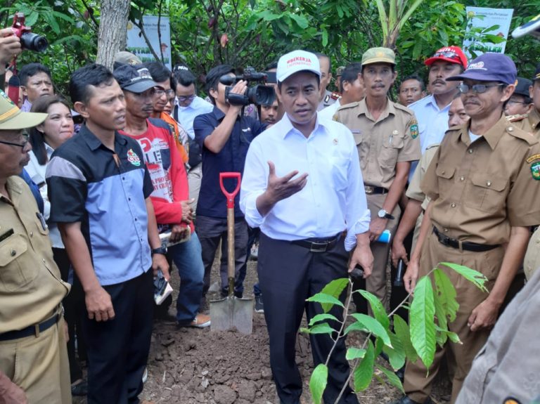 Mentan Amran Kembalikan Kejayaan Rempah dan Kakao dengan Program Peremajaan di Luwu Raya