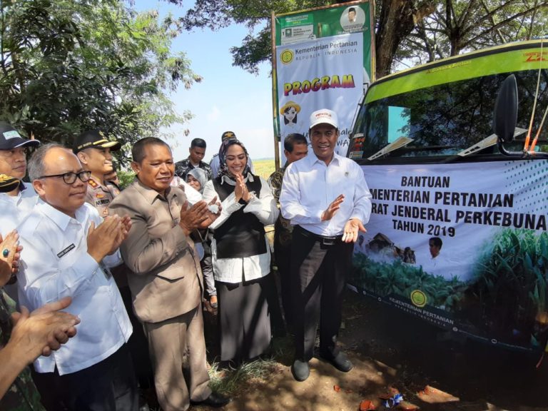 Kementan Gelontorkan Bantuan 5.000 Bibit Unggul Kelapa di Karawang