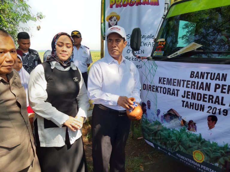 Mentan Jelaskan Alasan Kian Gencar Bagi-bagi Bibit Kelapa
