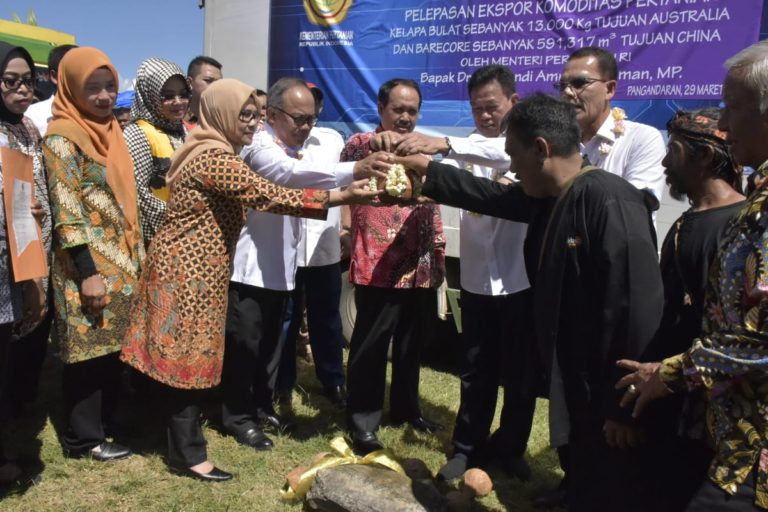 Kementan Lepas 15 Ribu Butir Kelapa Bulat ke Australia