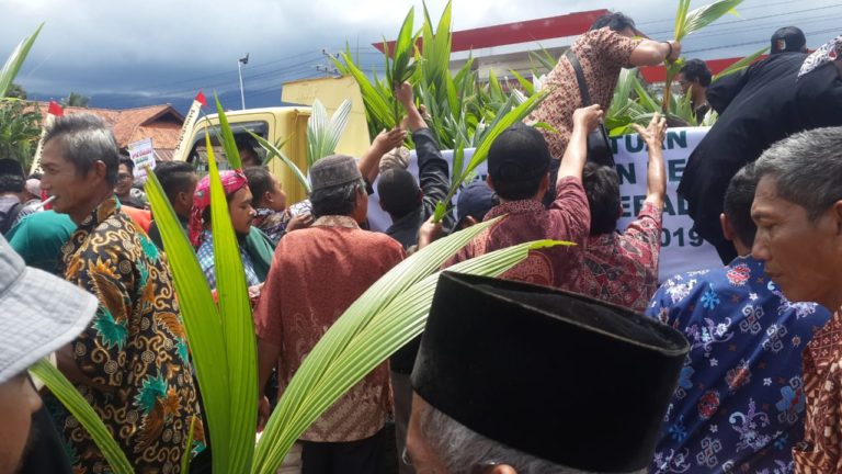 Gagal Bertani Mangga, Petani Kuningan Banting Setir Tanam Kelapa Bantuan Kementan