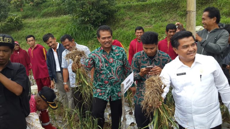Kementan : Mafia Bawang Putih Mau Semena-mena Seperti Dulu, Kita Perangi !