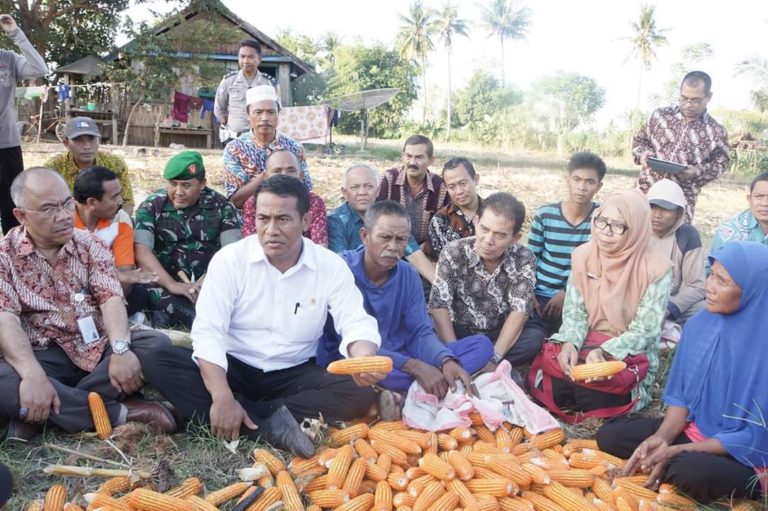 DPR dan Kadin dukung Mentan soal Penyerapan Gabah Petani