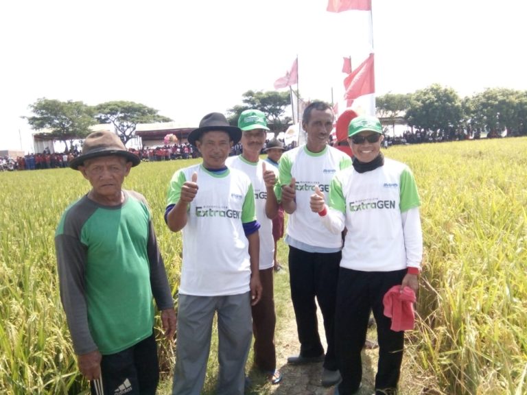 Petani Indramayu Sukses Panen Raya Berkat Pupuk Cair Herbal