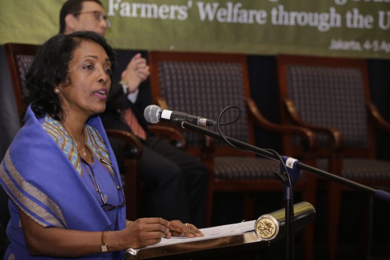 FAO Dukung Indonesia Wujudkan Ketahanan Pangan Asia Tenggara