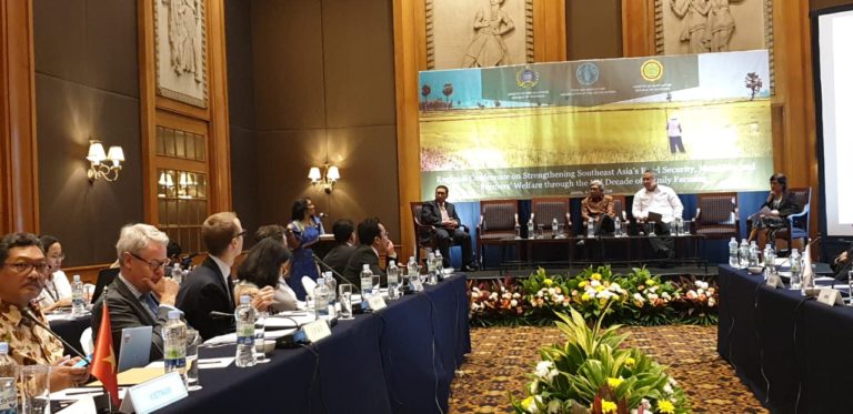 Sektor Pertanian Indonesia Dipuji Para Delegasi Konfrensi Family Farming