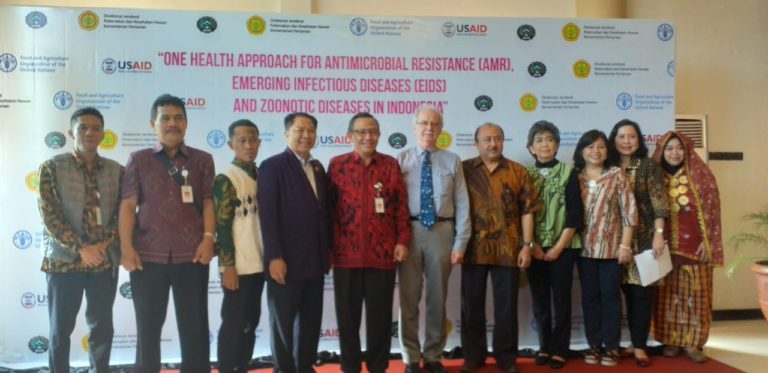 Bersama FAO, Kementan Ajak Masyarakat Waspadai Ancaman Penyakit dan Resistensi Antibiotik