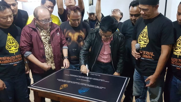 Dorong Ekspor, Kementan Resmikan Pusat Pelatihan Kambing Domba di Yogyakarta