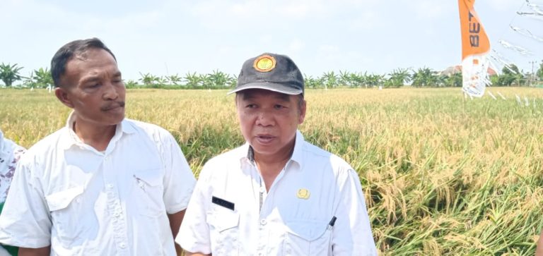 Pemkab Indramayu Anjurkan Petani Gunakan Pupuk Extragen