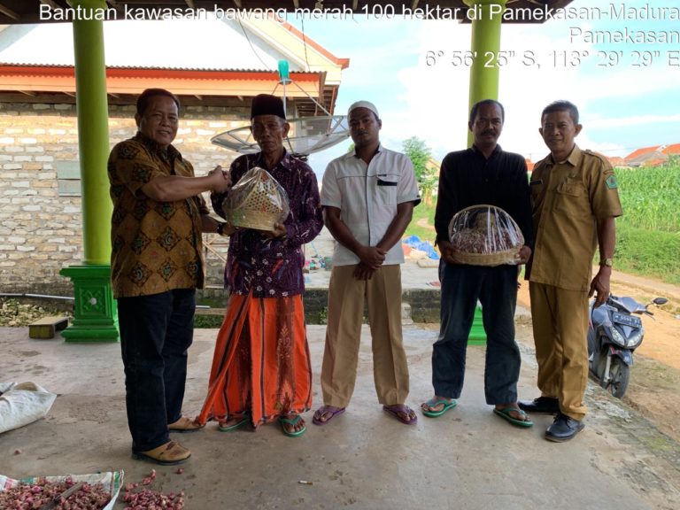 Alokasikan 100 Hektare, Pamekasan Mantap jadi Sentra Bawang Merah