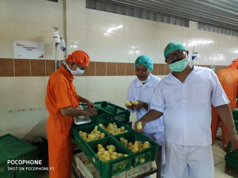 Timor Leste Siap Tambah Impor Produk Peternakan dari Indonesia