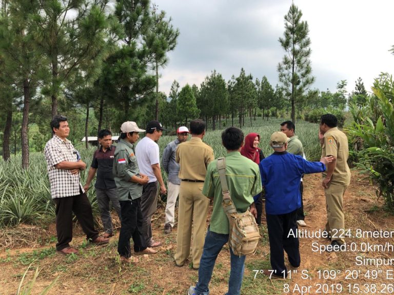 Kementan Inisiasi Kebun Buah di Lahan Perhutani