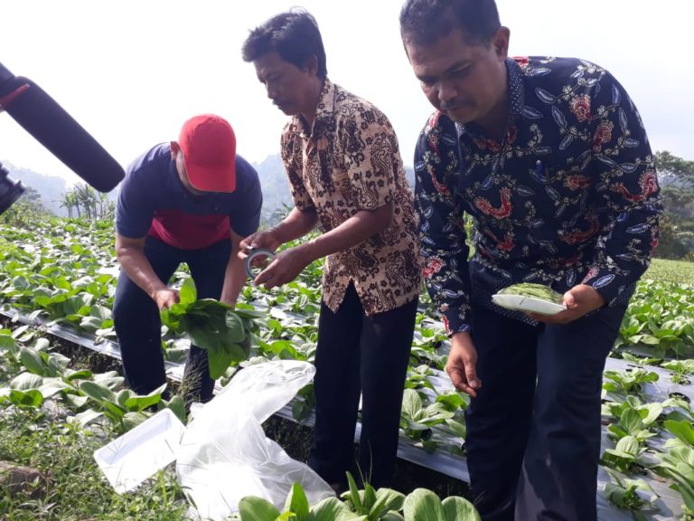 Kementan Pacu Pengembangan Sentra Tanaman Hias di Tawangmangu
