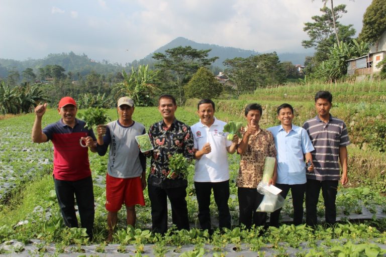 Kementan Pacu Pengembangan Sentra Sayuran Organik di Karanganyar