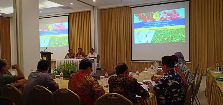 Kementan pastikan pasokan cabai dan bawang cukup untuk puasa hingga lebaran