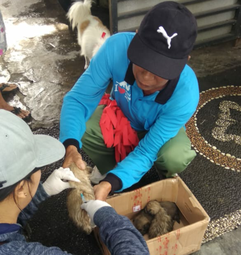 Kementan Evaluasi Program Pemberantasan Rabies di Bali