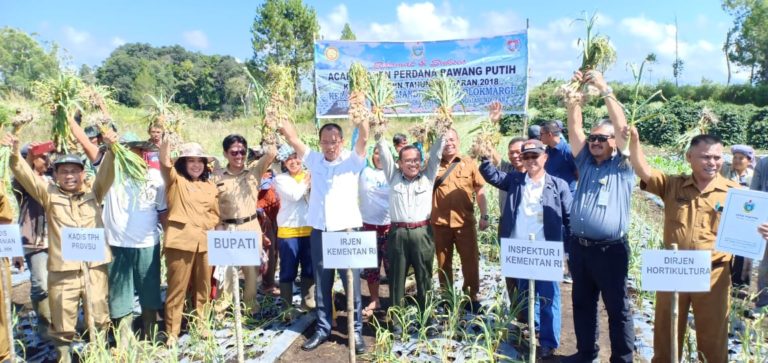 Kementan dorong Humbang Hasundutan jadi Sentra Bawang Putih Nasional
