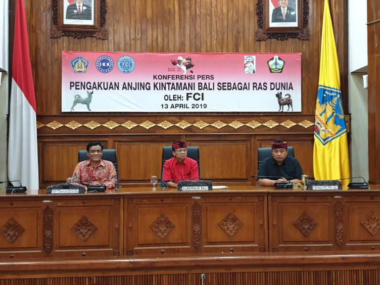 Kementan Dorong Pengembangan Anjing Kintamani Bali Sebagai Anjing Ras Dunia