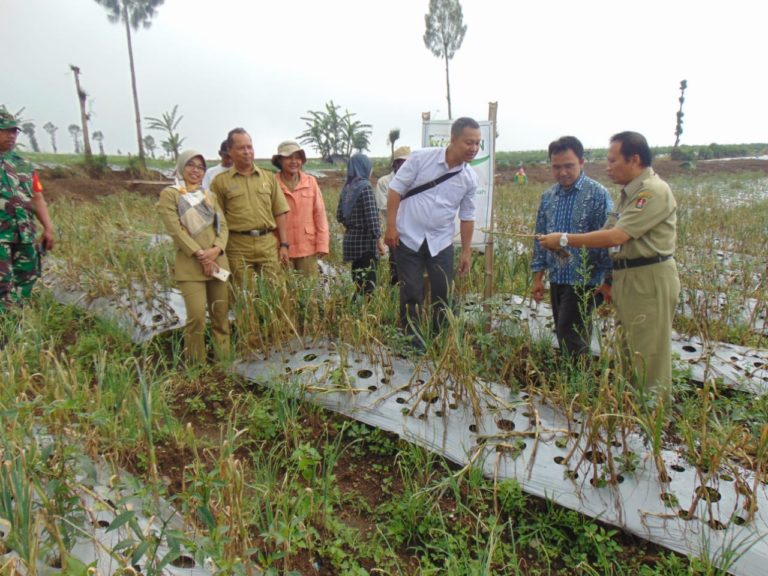 Wujudkan Swasembada Benih, KPK Sarankan Kementan Perhatikan Kebutuhan Petani