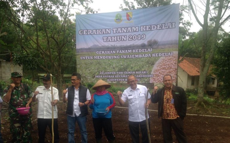 Pemerintah Dorong Petani Bandung Lakukan Gerakan Tanam Kedelai