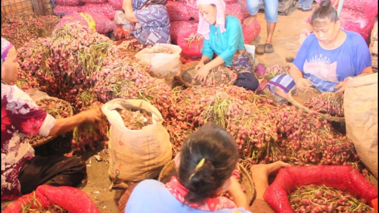 Pasokan Mencukupi, Harga Komoditas Hortikultura Terpantau Stabil Hingga Lebaran