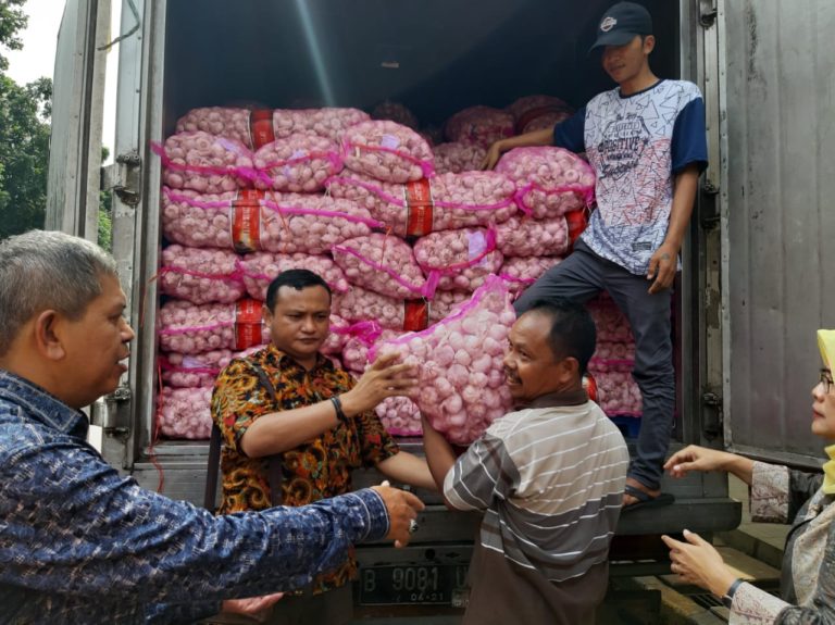 60 Ribu Ton Bawang Putih Asal China Bersiap Masuk