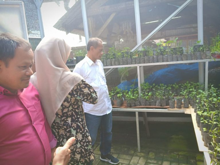 KRPL Disebut Hemat Pengeluaran Belanja Kebutuhan Pangan Keluarga