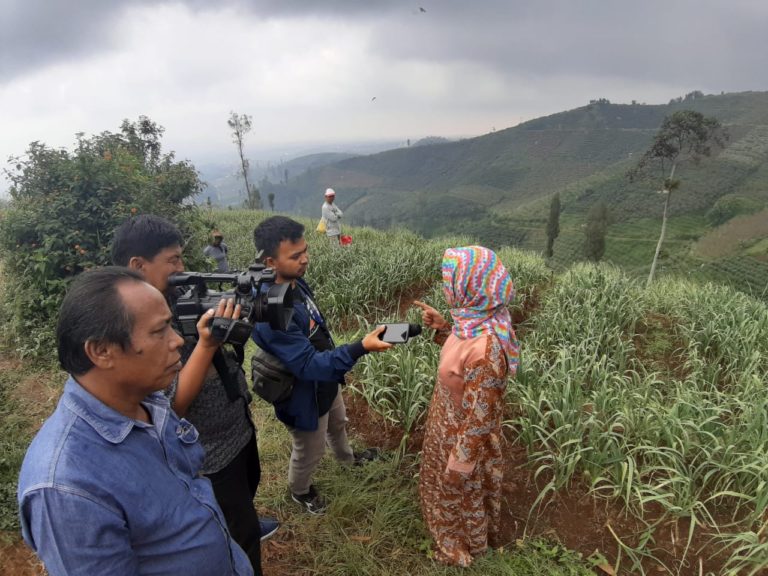 Pakar: Kenaikan PDB Buktikan Pertanian Masih Pendukung Utama Ekonomi