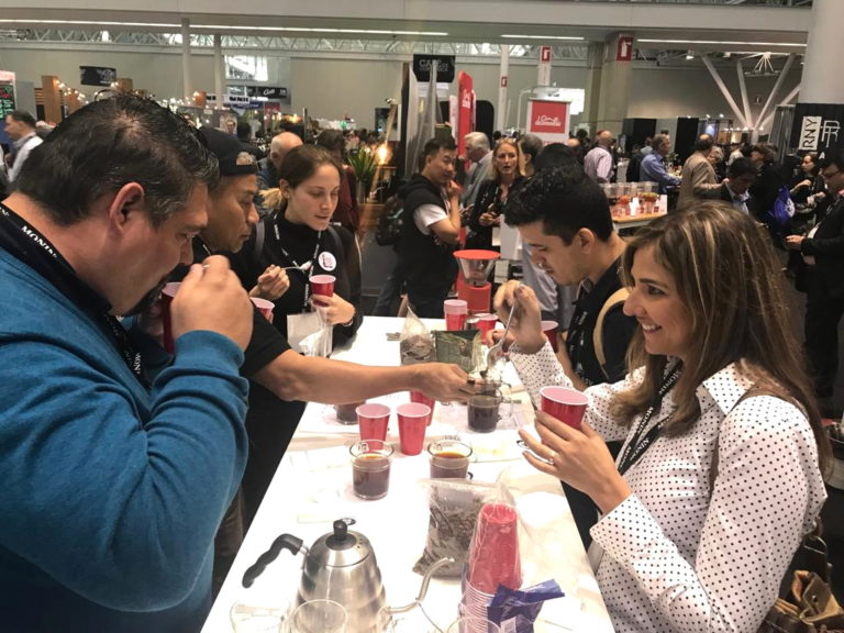 Kopi Indonesia Laris Manis di Global Coffee Specialty Expo Amerika Serikat