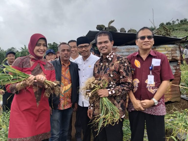 Kemitraan Importir dan Petani Dorong Perluasan Areal Tanam Bawang Putih