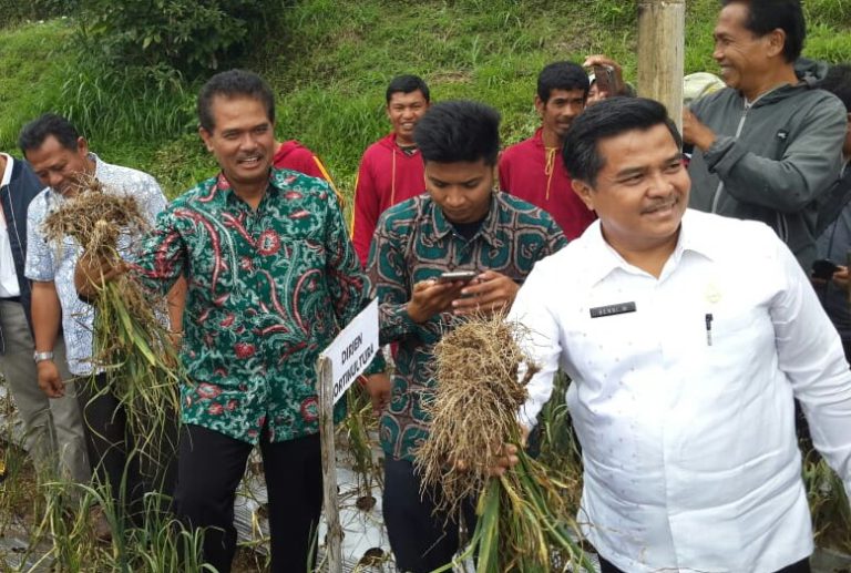Dirjen Hortikultura Beberkan Strategi Swasembada Bawang Putih