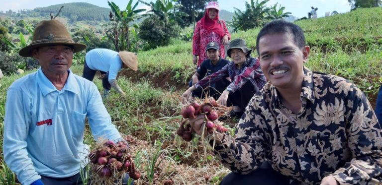 Kementan Dorong Tumpang Sari Bawang Merah dan Putih di Kabupaten Bandung