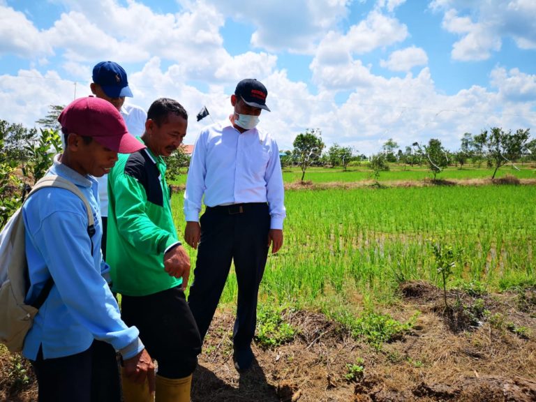 Amran Sulaiman Optimistis Program Serasi Sejahterakan Petani