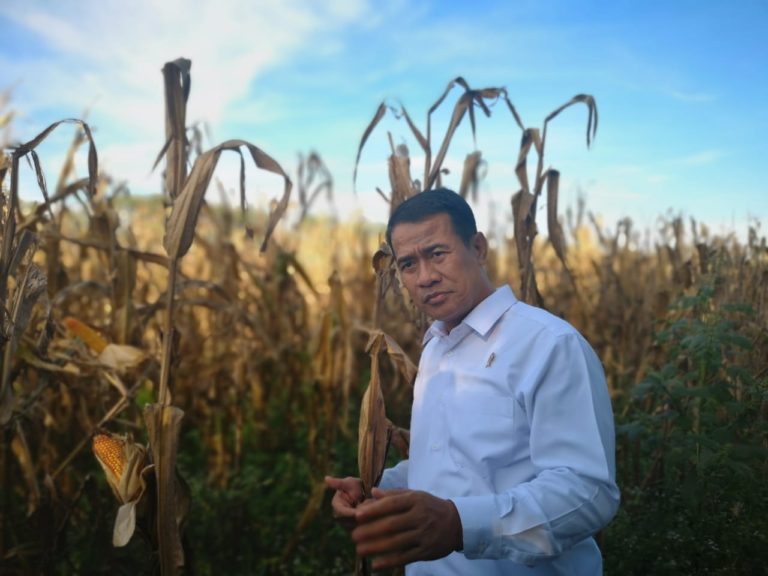 Brigade Alsin, Strategi Mentan Garap Lahan Rawa