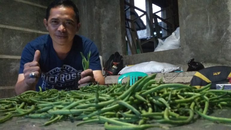 Kemajuan Pertanian di Tangan Generasi Muda