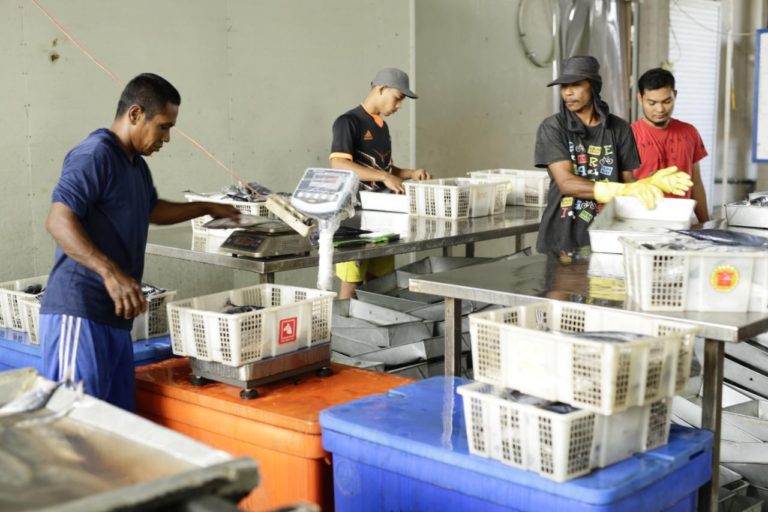 Cerita Pengusaha Ikan Aceh Ekspor Tuna hingga ke Jepang berkat LPDB