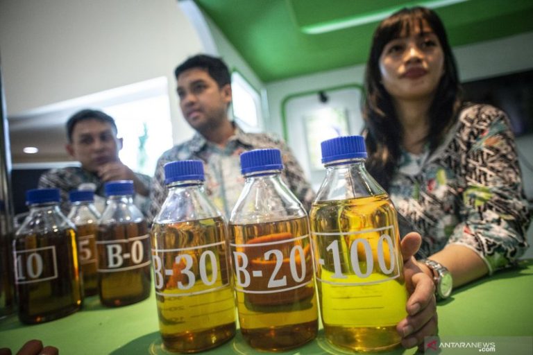 Pengembangan B100, Langkah Strategis Pemerintah Kurangi Impor BBM 