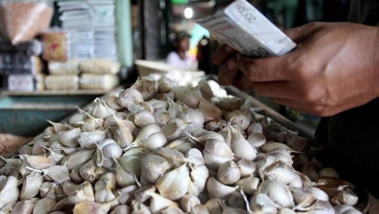 HIPMI Kecam Permendag tentang Pembebasan Impor Bawang Putih dan Bombay