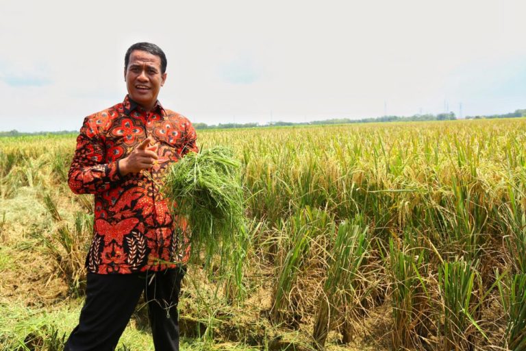 Indikator Ekonomi Catat Keberhasilan Pembangunan Pertanian Indonesia