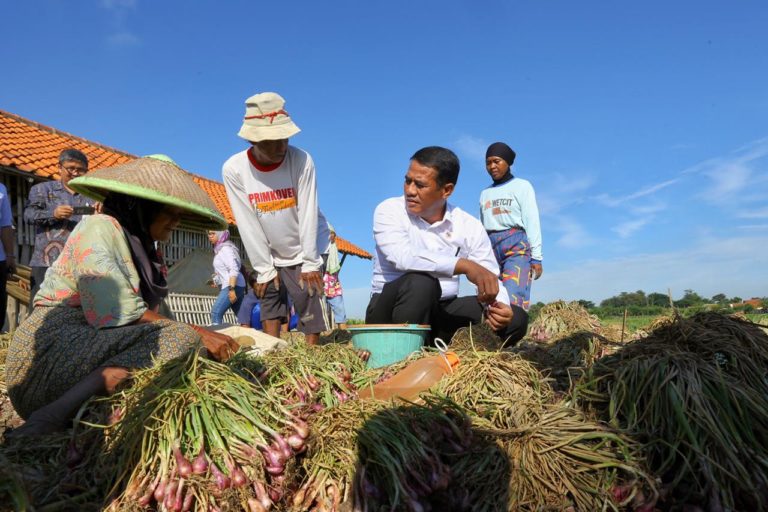 Nilai Tukar Petani Mei 2019 Naik 0.38 Persen, BPS: Daya Beli Petani Menguat
