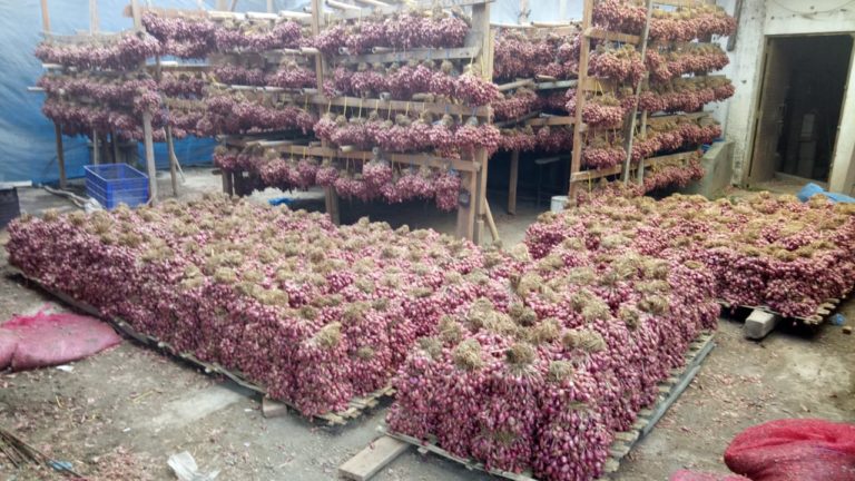 Lebaran Usai, Pasokan dan Harga Bawang Merah Kembali Normal