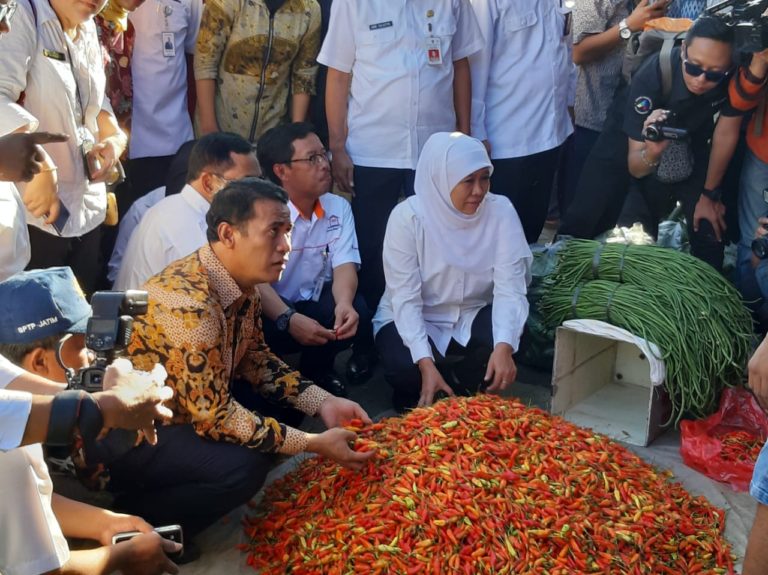 Produksi Cabai di Jawa Timur Melimpah