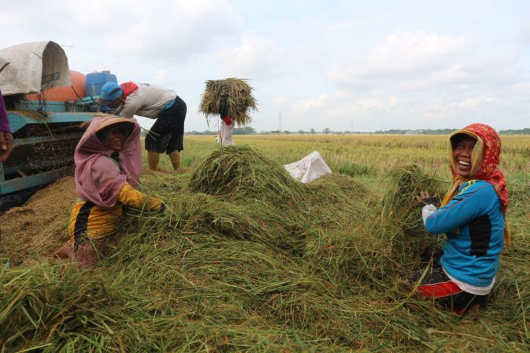 Kepala BKP Kementan Dorong Percepatan Sergap Nasional