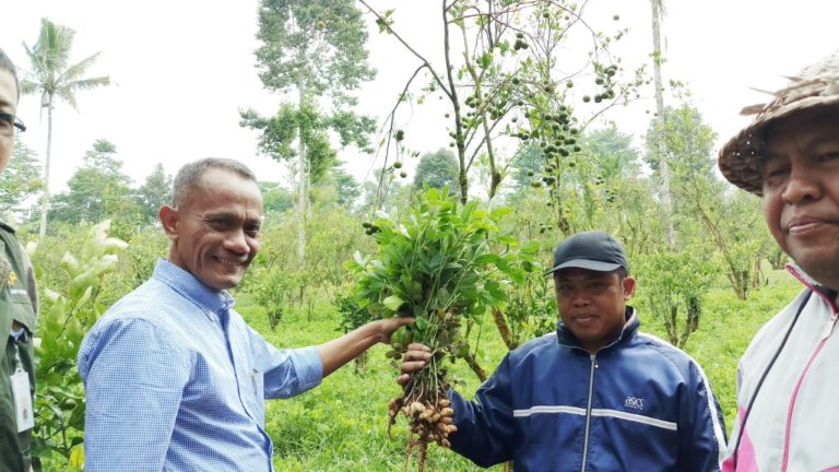 Kementan Gerakkan Petani Bali Lakukan Koorporasi Usaha Tani